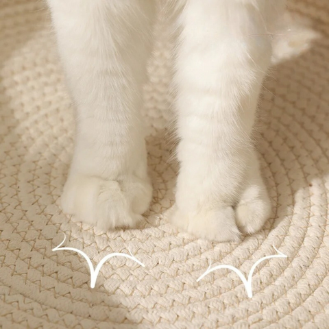 KattenKnus Bett - Stilvoll & Komfortabel für dein geliebtes Haustier