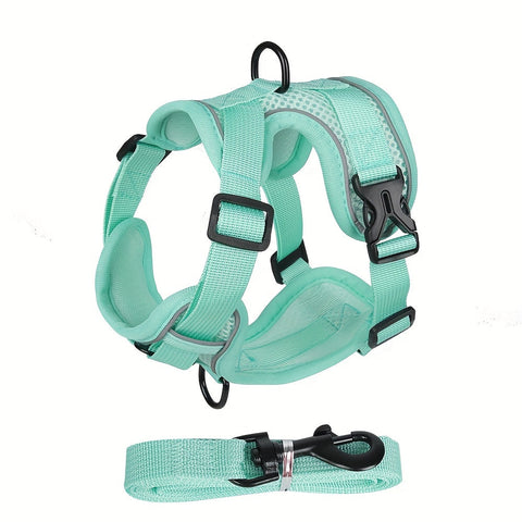 Reflektierendes Katzenharness und Leinen-Set – Ideal für Spaziergänge und Training
