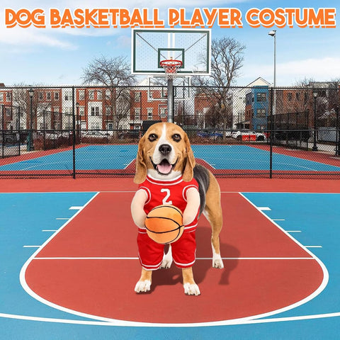 Basketball Hundekostüm – Für süße sportliche Momente