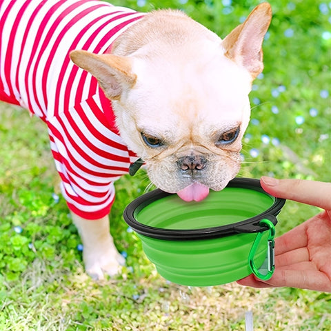 Faltbarer Futter- und Wassernapf – Langlebig und Kompakt für Hunde und Katzen