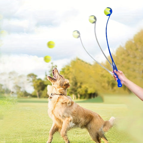 Interaktive Hundespielzeug Launcher – Perfekt für das Apportierspiel und Training