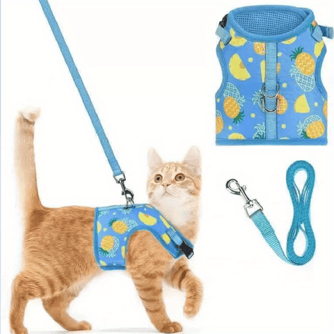 KittyComfort Geschirrset - Für Gemütliche Spaziergänge und Abenteuer