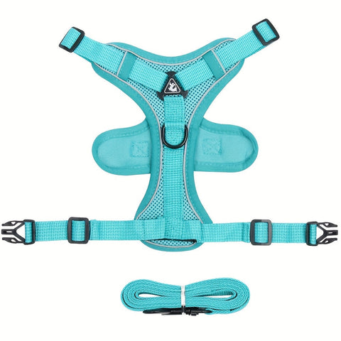 Reflektierendes Katzenharness und Leinen-Set – Ideal für Spaziergänge und Training