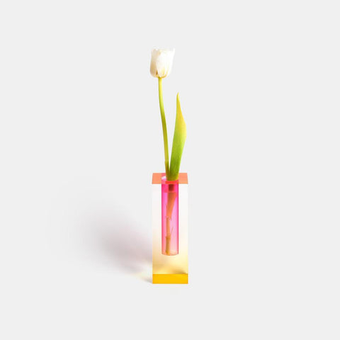Kaleidoskop Vasen - Bunte Blumenvasen für eine Frische Umgebung