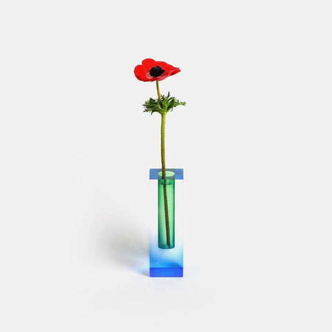 Kaleidoskop Vasen - Bunte Blumenvasen für eine Frische Umgebung