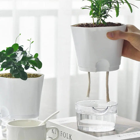 AquaPlanter - Schlauer Blumentopf und Mini-Aquarium in einem