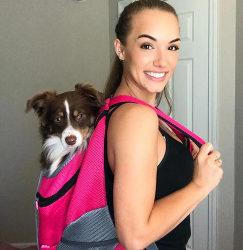 PetAdventure Rucksack - Bequem & Praktisch