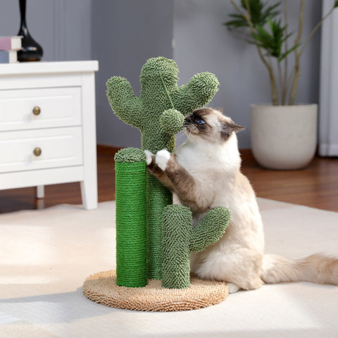 Katzen Kratzkaktus – Spielerisch und Funktional für Deine Katze