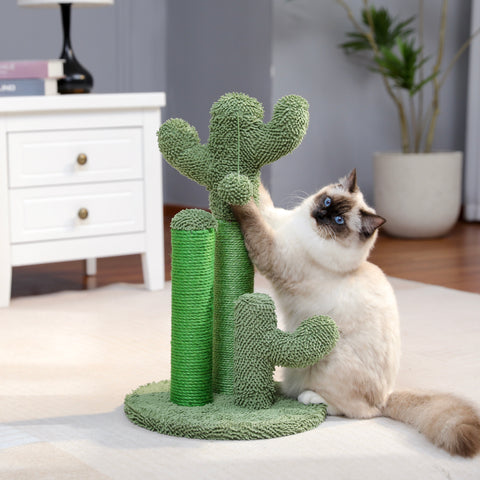 Katzen Kratzkaktus – Spielerisch und Funktional für Deine Katze
