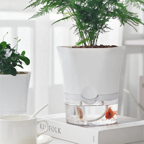 AquaPlanter - Schlauer Blumentopf und Mini-Aquarium in einem