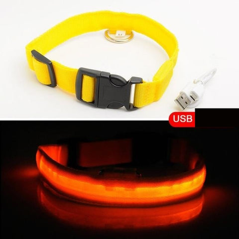 HondVeilig Pro - LED-Halsband für Hunde - Fühle dich sicher und stylisch beim Gassi gehen
