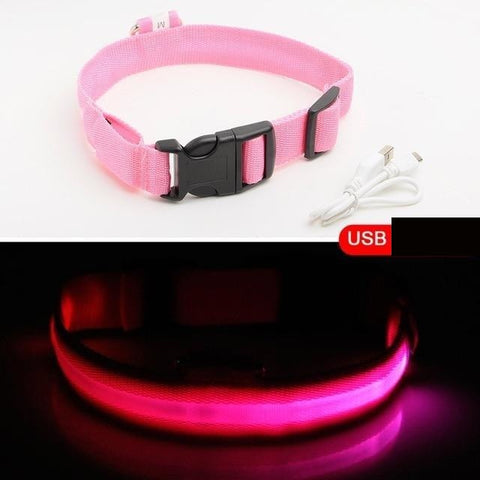 HondVeilig Pro - LED-Halsband für Hunde - Fühle dich sicher und stylisch beim Gassi gehen