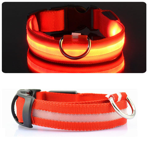 HondVeilig Pro - LED-Halsband für Hunde - Fühle dich sicher und stylisch beim Gassi gehen