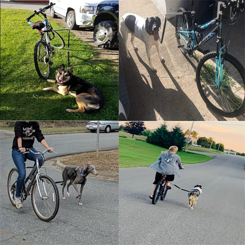 Fahrrad-Hundeleine mit abnehmbarer Leine – Erweiterbar & Sicherheitsbuffer