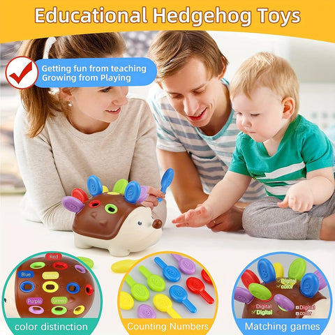 Süßes Igel Lernspielzeug - Lernen und Spielen