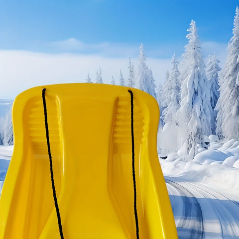 Vielseitiger Schlitten mit Bremse – Perfekt für Schnee, Gras und Eis, inkl. Zugseil
