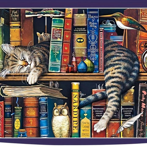 Kat auf dem Bücherregal Puzzle – Für Puzzler und Katzenliebhaber