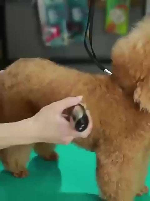 Kabelloser Haustiertrimmer – USB Aufladbar und Leise für Hunde und Katzen
