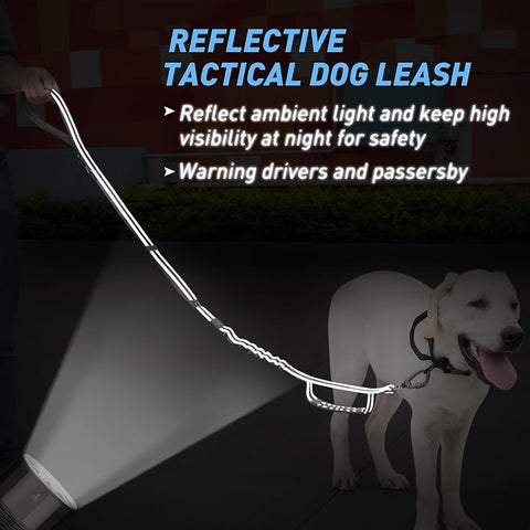 Verstellbare Bungee-Hundeleine – Stoßdämpfend und Reflektierend für Große Hunde