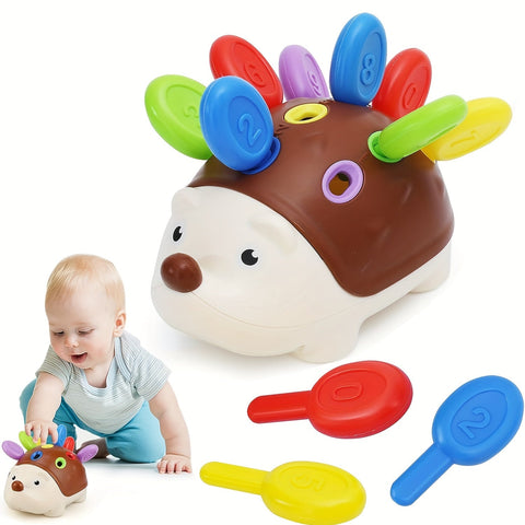 Süßes Igel Lernspielzeug - Lernen und Spielen