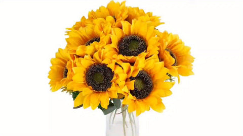 Set von 11 Lebhaften Sonnenblumen – Perfekt für den Herbst, Hochzeiten und Gartendekoration