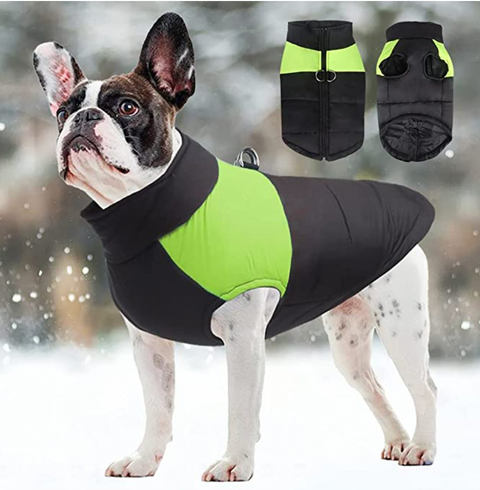 CozyPaws Hundejacke - Warm & Wasserdicht