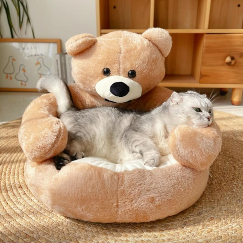 CuddleBear Katzenbett - Für Ultimativen Komfort und Gemütlichkeit