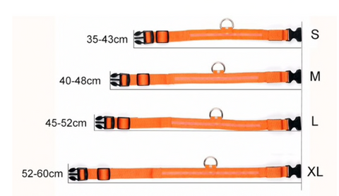 HondVeilig Pro - LED-Halsband für Hunde - Fühle dich sicher und stylisch beim Gassi gehen