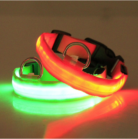 HondVeilig Pro - LED-Halsband für Hunde - Fühle dich sicher und stylisch beim Gassi gehen
