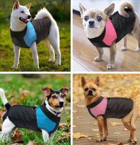 CozyPaws Hundejacke - Warm & Wasserdicht