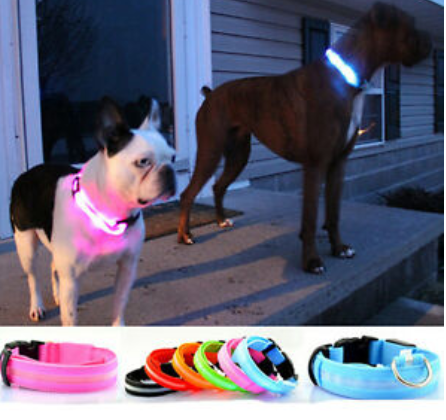 HondVeilig Pro - LED-Halsband für Hunde - Fühle dich sicher und stylisch beim Gassi gehen