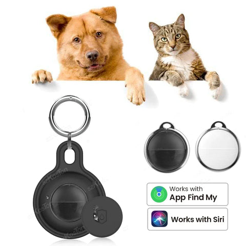 Ziggy Haustier Tracker – Für sorglose Abenteuer