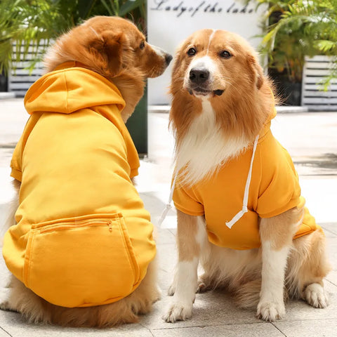 Bobby Hundehoodie – Für einen trendigen Look