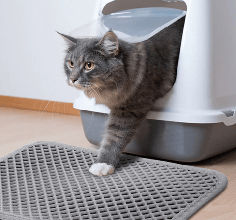 PetPurity Wabenmatte für Katzenstreu