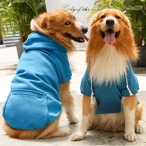 Bobby Hundehoodie – Für einen trendigen Look
