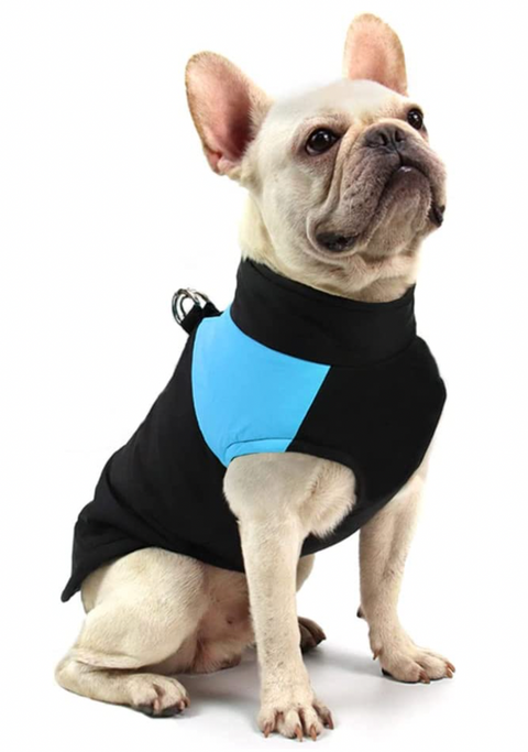 CozyPaws Hundejacke - Warm & Wasserdicht