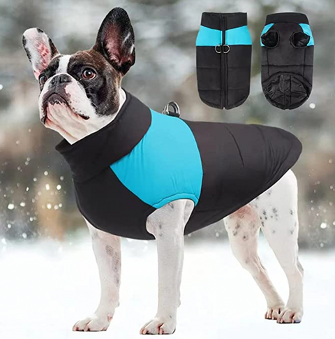 CozyPaws Hundejacke - Warm & Wasserdicht