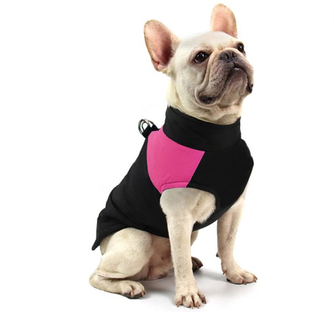 CozyPaws Hundejacke - Warm & Wasserdicht