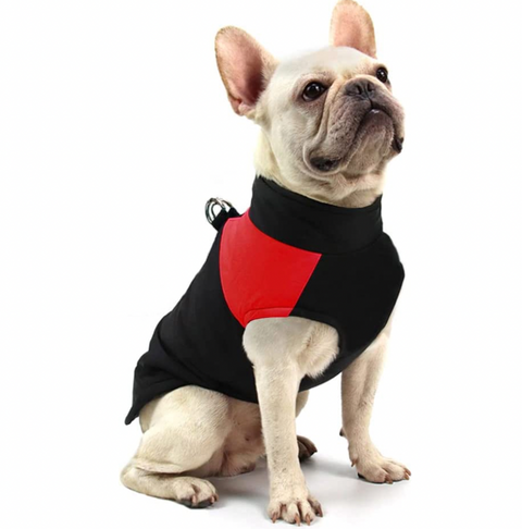 CozyPaws Hundejacke - Warm & Wasserdicht