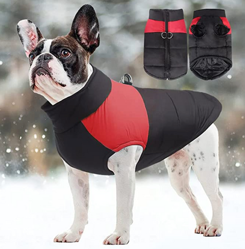 CozyPaws Hundejacke - Warm & Wasserdicht
