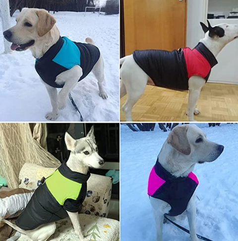 CozyPaws Hundejacke - Warm & Wasserdicht