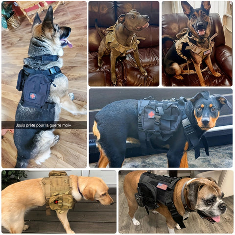 Taktisches Hundegeschirr mit Taschen – Robustes Nylon-Geschirr für Training und Abenteuer