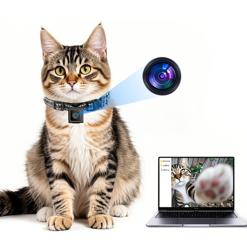 Schlanke Haustierkamera-Halsband – Drahtlose 1080p-Video mit Echtzeit-Tracking