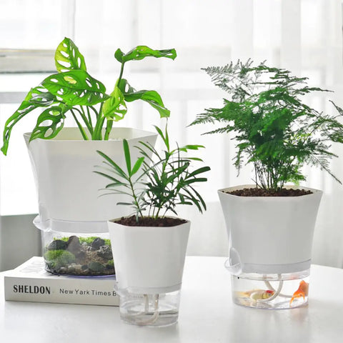 AquaPlanter - Schlauer Blumentopf und Mini-Aquarium in einem