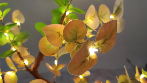 Sereen Eukalyptusbaum Lampe - Für Beruhigende Beleuchtung und Natürliche Ästhetik