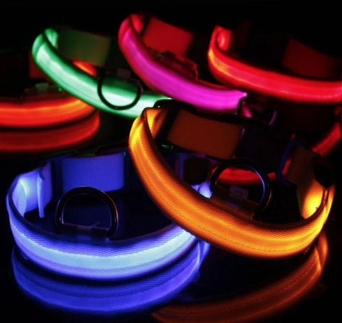 HondVeilig Pro - LED-Halsband für Hunde - Fühle dich sicher und stylisch beim Gassi gehen