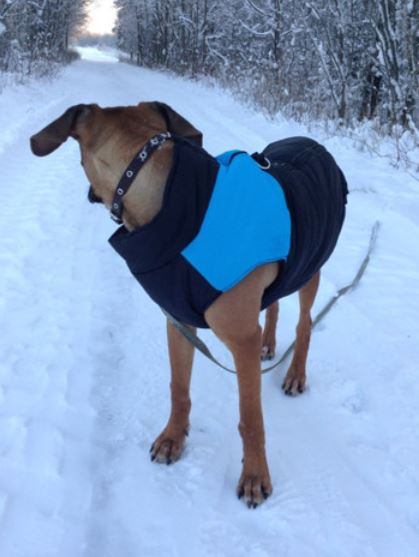 CozyPaws Hundejacke - Warm & Wasserdicht