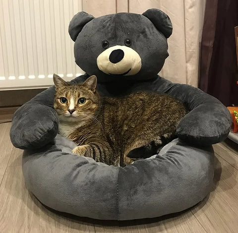 CuddleBear Katzenbett - Für Ultimativen Komfort und Gemütlichkeit
