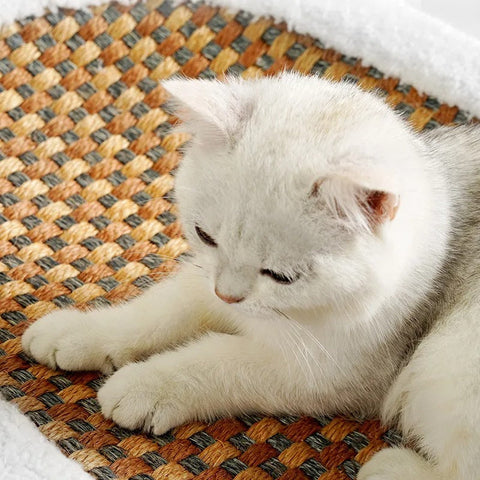 KattenComfort Bett - Trendy & Komfortabel für dein geliebtes Haustier