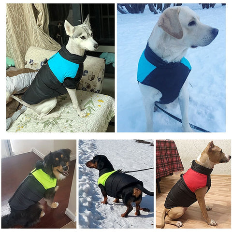 CozyPaws Hundejacke - Warm & Wasserdicht